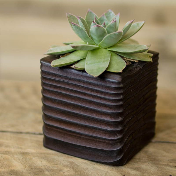 small wood succulent planter Single Succulent Wood Planter in Flow
