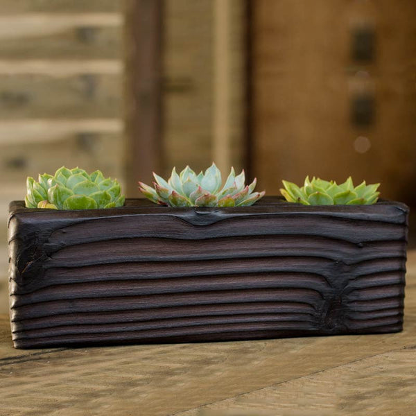 wood succulent pot Triple Wood Succulent Planter in Flow