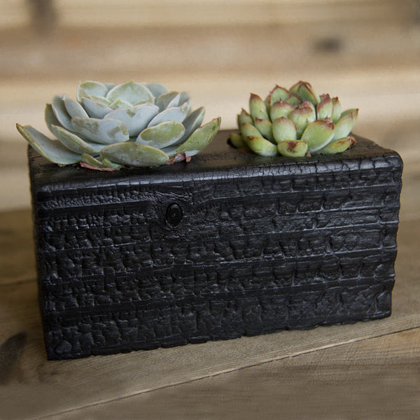 Double Succulent Wood Planter in Chaos