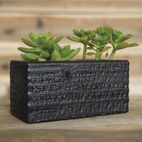 Double Succulent Wood Planter in Chaos