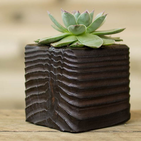 Wave Planter