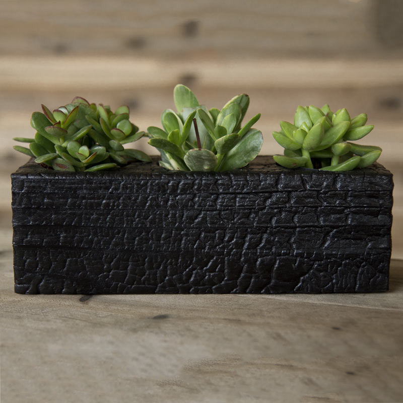 rustic succulent planters Triple Wood Succulent Planter in Chaos