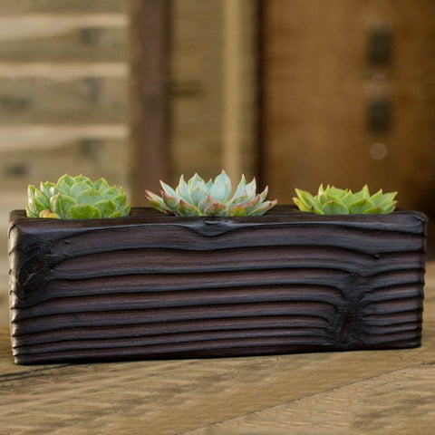 Triple Wood Succulent Planter in Flow