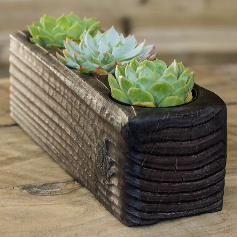 wood succulent planter box Triple Wood Succulent Planter in Flow