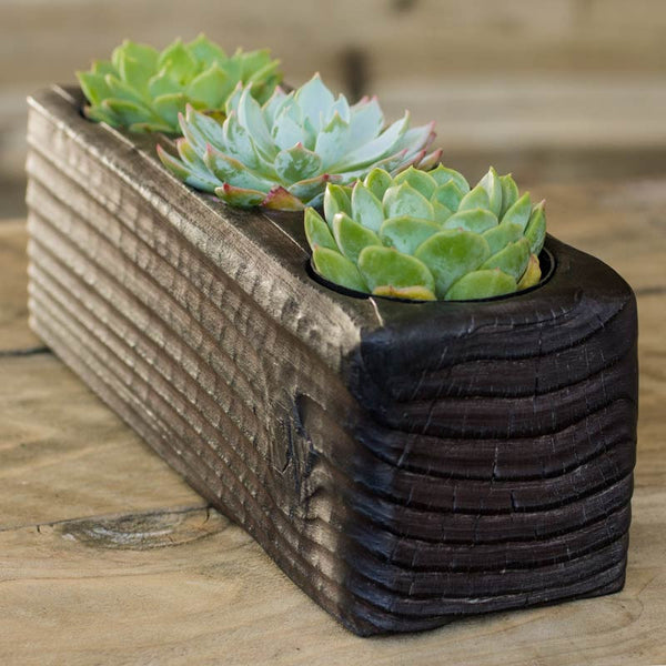 Triple Wood Succulent Planter in Flow