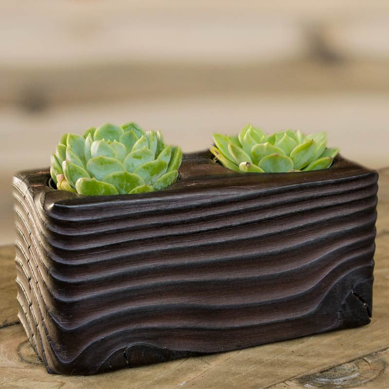 wooden planter for succulents Double Succulent Wood Planter in Flow