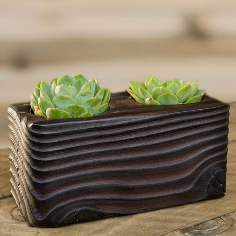 Double Succulent Wood Planter in Flow
